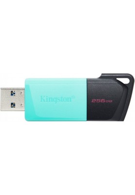 Flash Drive Kingston DT Exodia M 256GB USB 3.2 Teal (6806808)