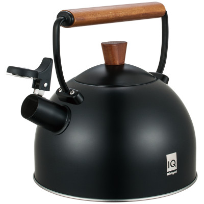 Чайник Ringel IQ Вe Natural 2.5 л (6820093)