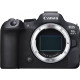 Цифрова камера CANON EOS R6 Mark II body (6854469)