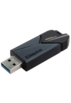 Flash Drive Kingston DT Exodia ONYX 256GB USB 3.2  (6865306)