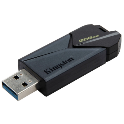Flash Drive Kingston DT Exodia ONYX 256GB USB 3.2  (6865306)