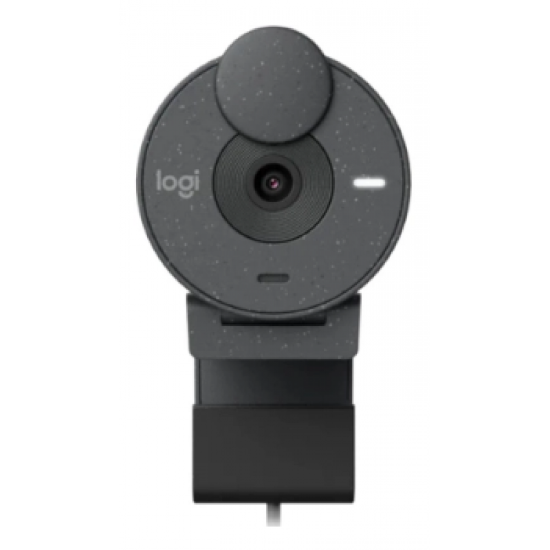 Веб-камера Logitech Brio 305 Graphite B2B (960-001469) (6859751)