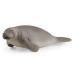 Іграшка фігурка Schleich Ламантин (6688206)