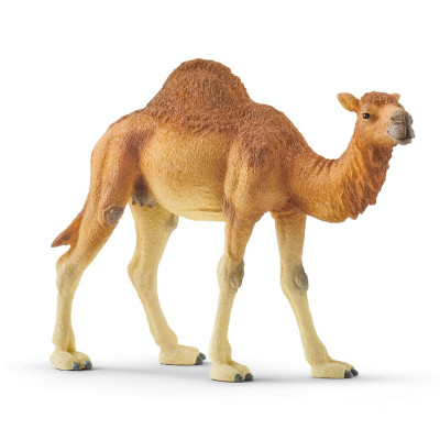 Іграшка фігурка Schleich Дромедар (6688217)