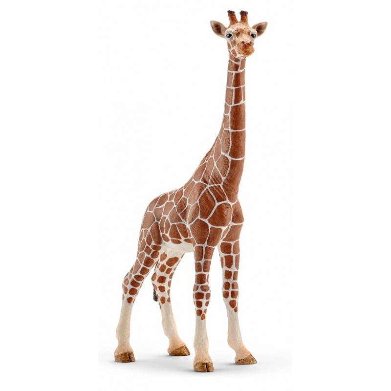 Іграшка фігурка Schleich Жирафа самка (6834233)