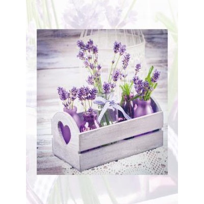 Фотоальбом EVG 20sheet S29x32 LAVENDER (6882828)