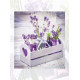 Фотоальбом EVG 20sheet S29x32 LAVENDER (6882828)