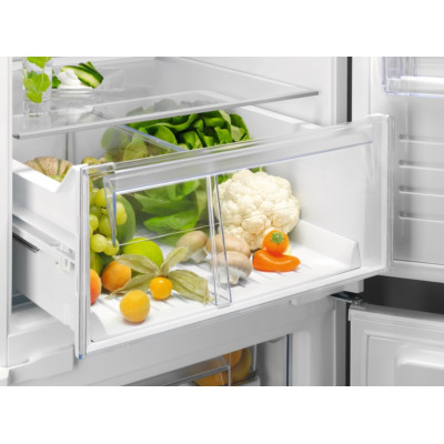 Холодильник Electrolux RNT6TE19S (6926173)