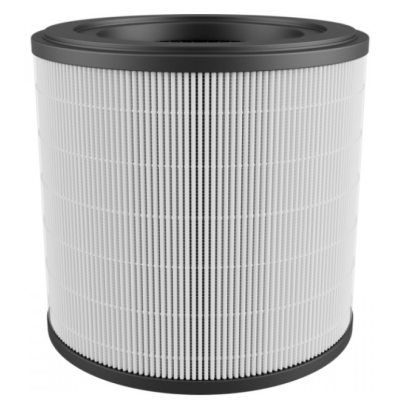 Фільтр Electrolux EFFCAR2 (6951835)