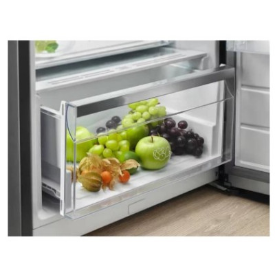 Холодильник Electrolux RRC5ME38X2 (6676546) Холодильник Electrolux RRC5ME38X2 (6676546)