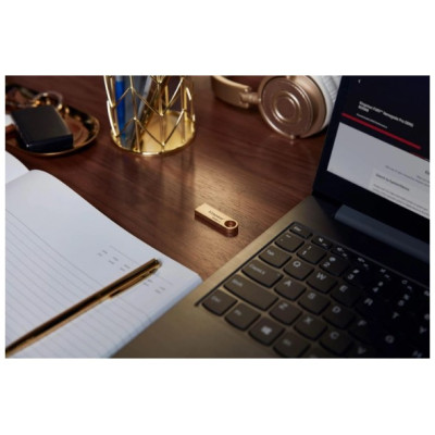 Flash Drive Kingston DT SE9 G3 128GB USB 3.2 Gold (DTSE9G3/128GB) (6962752)