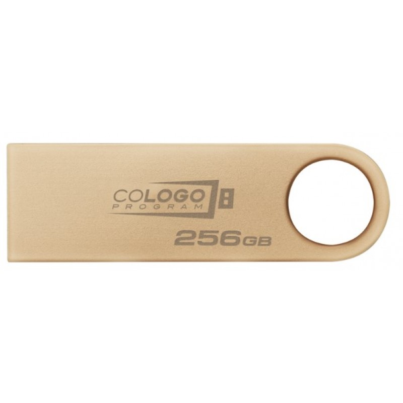 Flash Drive Kingston DT SE9 G3 256GB USB 3.2 Gold (DTSE9G3/256GB) (6962753)