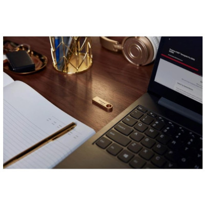 Flash Drive Kingston DT SE9 G3 512B USB 3.2 Gold (DTSE9G3/512GB) (6962754)