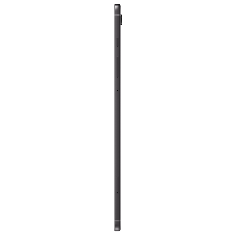 Планшет Samsung Galaxy Tab S6 Lite 2024 WiFi 4/128 ZAE Gray (6977928)