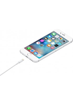 Кабель Apple USB-C to Lightning Cable (1m) (MUQ93ZM/A) (6973738)