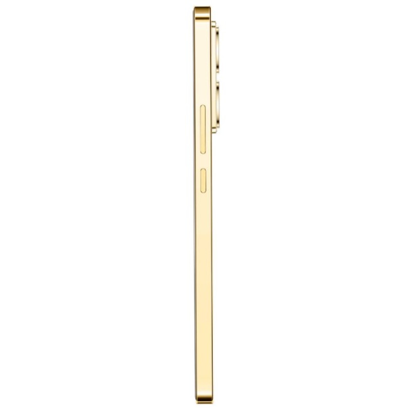 Смартфон Infinix Note 40 X6853 8/256GB Titan Gold (6991885)