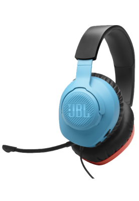 Гарнітура JBL QUANTUM 100N Black (JBLQTUM100N) (7023996)