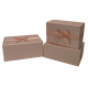 Подарункова коробка UFO PINK W2869 25х17х11 см (7032402)