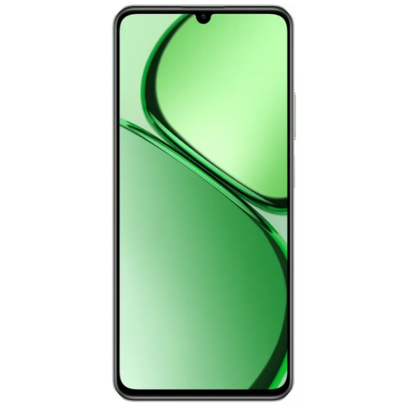 Смартфон Realme C63 8/256Gb NFC Green (6999170)