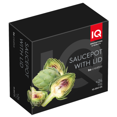 Каструля IQ Be Creative (4.2 л) 24 см (6996296)