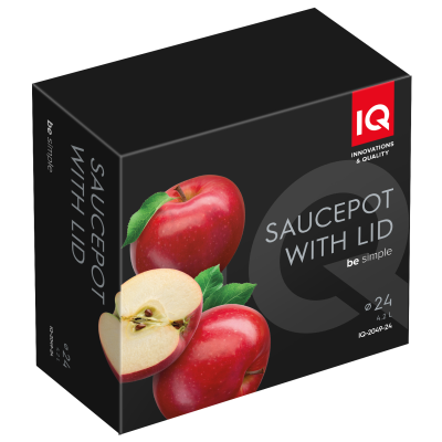 Каструля IQ Be Simple (4.2 л) 24 см (6996311)