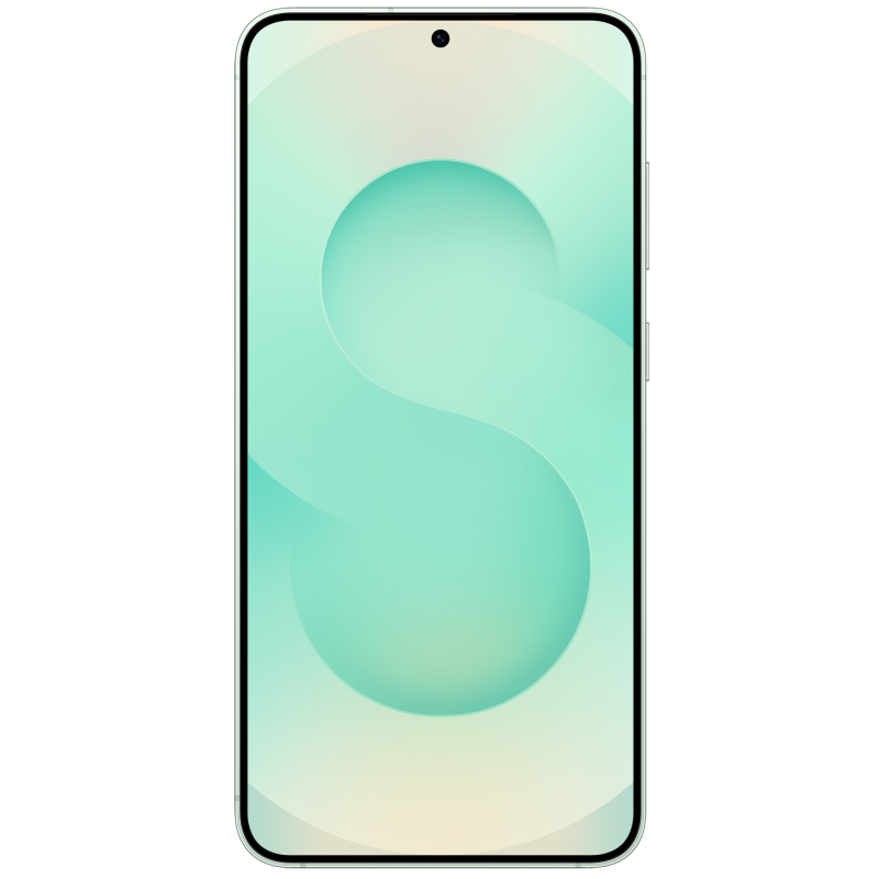 Смартфон Samsung Galaxy S25+ 12/512Gb LGG Mint (7082525)