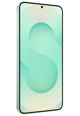 Смартфон Samsung Galaxy S25 12/256Gb LGG Mint (7082537)