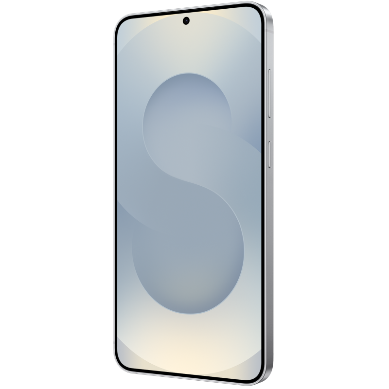 Смартфон Samsung Galaxy S25 12/256Gb ZSG Silver Shadow (7082539)