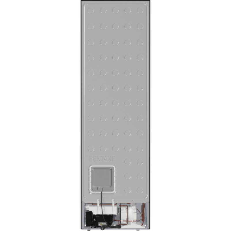 Холодильник Hisense RB470N4EFC1 (HZF4068SED)  (6895705)