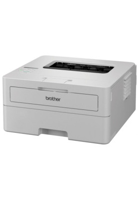 Принтер Brother HLB2180DWYJ1 (7085063)