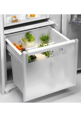 Холодильник Electrolux ERD6DE18S1 (7091305)