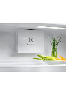 Холодильник Electrolux ERD6DE18S1 (7091305)