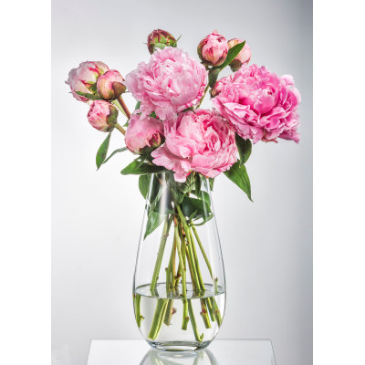 Ваза Bohemia Crystal Margo Plain, 30.5 см (7094266)