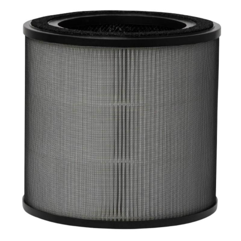 Фільтр Electrolux EFFCLN2EU (7109727)