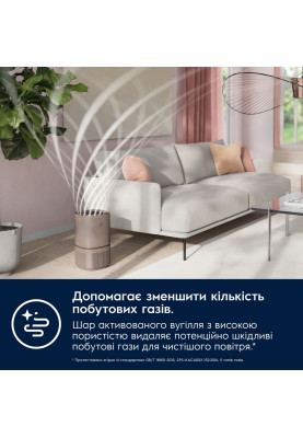 Фільтр Electrolux EFFCLN2EU (7109727)