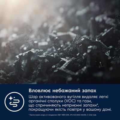 Фільтр Electrolux EFFCLN2EU (7109727)