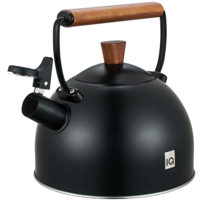 Чайник IQ Вe Natural (2.5 л)   (7004629)