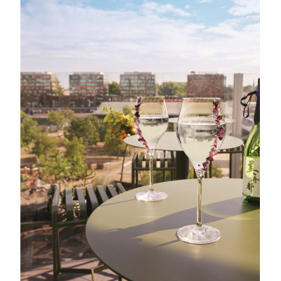 Набір келихів C&S Exaltation, 6х750 мл (7098530)