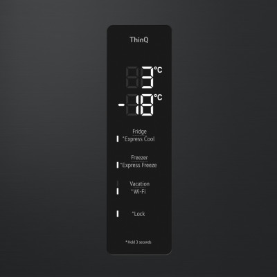 Холодильник LG GC-B509FTZW (7110072)