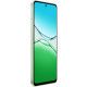 Смартфон OPPO A5 PRO 4G 8/128GB Olive Green (7122182)