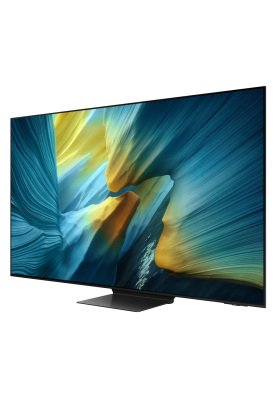 LED-телевізор Samsung QE65S95FAUXUA (7101152)