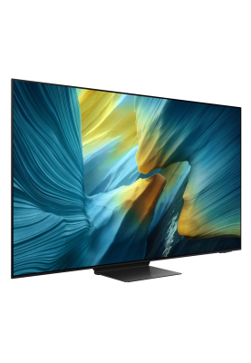 LED-телевізор Samsung QE65S95FAUXUA (7101152)