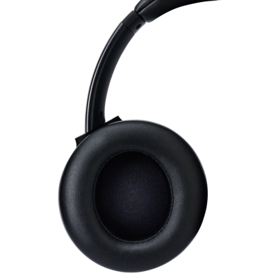 Гарнітура Panasonic RB-M600BG-K (7121458)