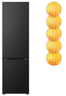 Холодильник LG GW-B509FT7W (7125141)