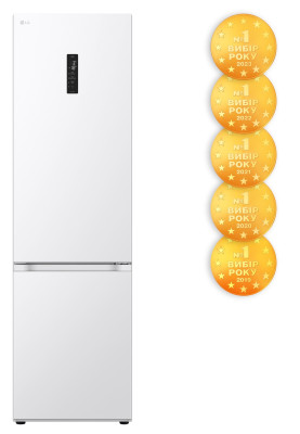 Холодильник LG GW-B509FVFW (7125145)