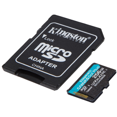 Карта пам'яті Kingston microSD 256GB C10 UHS-I U3 A2 V30 + SD (SDCG4/256GB) (7120095)
