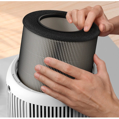 Фільтр Philips FY0900/30 (7109406)
