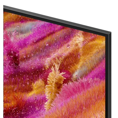 LED-телевізор Samsung QE55QN90FAUXUA (7101133)