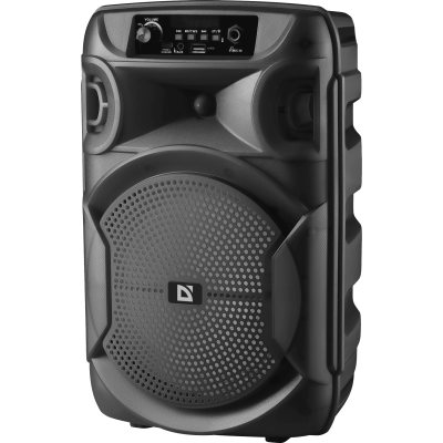 Портативна акустика Defender Boomer 12 15Вт (65412) (7151828)
