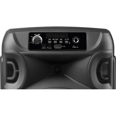 Портативна акустика Defender Boomer 12 15Вт (65412) (7151828)